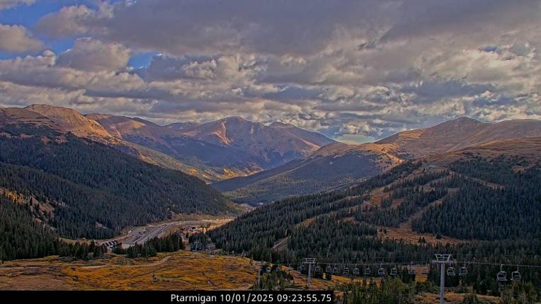 Webcam Loveland: Ptarmigan roost