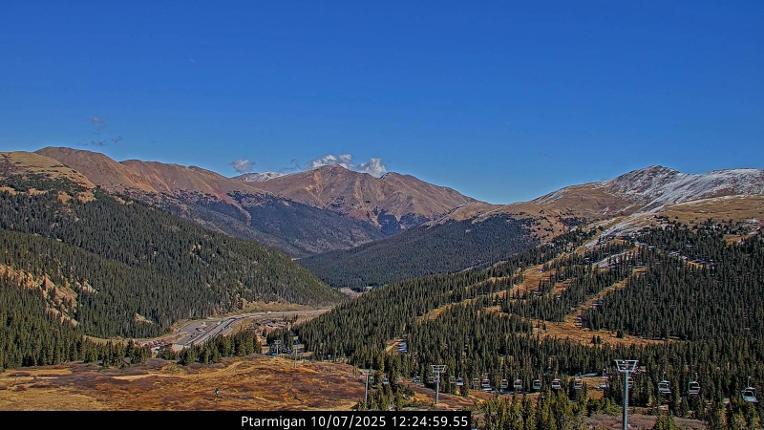 Webcam Loveland: Ptarmigan roost
