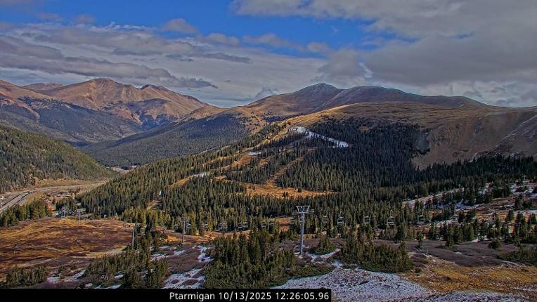 Webcam Loveland: Ptarmigan roost