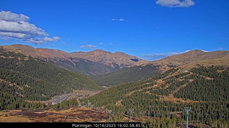 Webcam Loveland: Ptarmigan roost