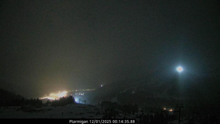 Webcam Loveland: Ptarmigan roost