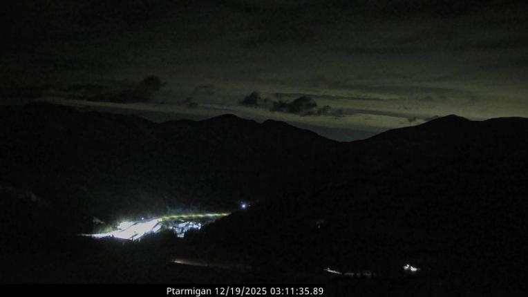 Webcam Loveland: Ptarmigan roost