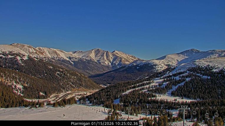Webcam Loveland: Ptarmigan roost
