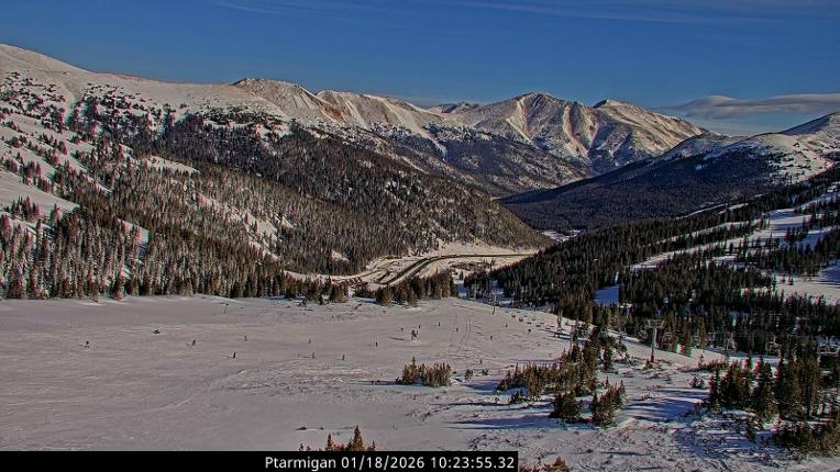 Webcam Loveland: Ptarmigan roost