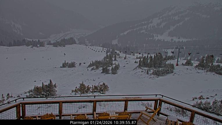 Webcam Loveland: Ptarmigan roost