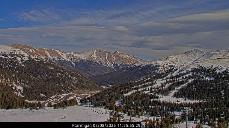 Webcam Loveland: Ptarmigan roost