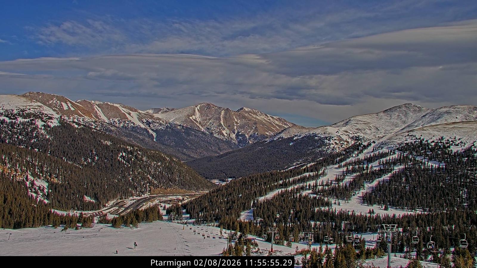 Webcam Loveland: Ptarmigan roost