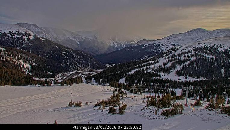 Webcam Loveland: Ptarmigan roost