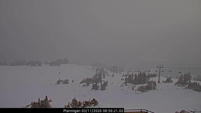 Webcam Loveland: Ptarmigan roost