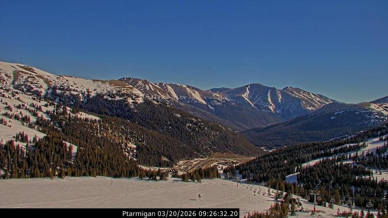 Webcam Loveland: Ptarmigan roost