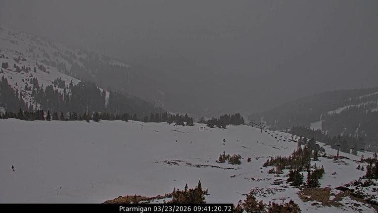 Webcam Loveland: Ptarmigan roost
