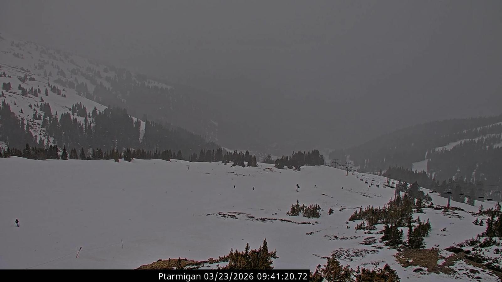 Webcam Loveland: Ptarmigan roost