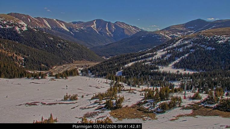 Webcam Loveland: Ptarmigan roost