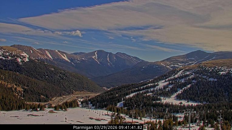 Webcam Loveland: Ptarmigan roost