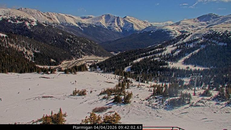 Webcam Loveland: Ptarmigan roost