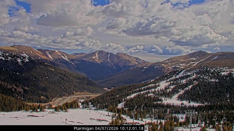 Webcam Loveland: Ptarmigan roost