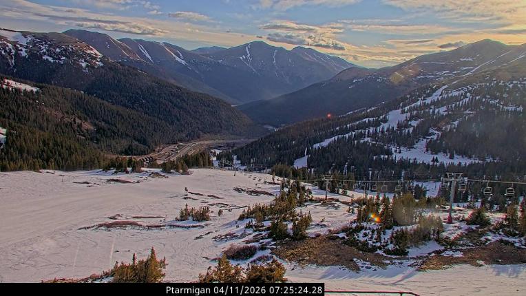 Webcam Loveland: Ptarmigan roost