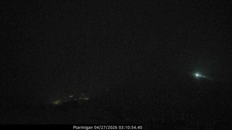 Webcam Loveland: Ptarmigan roost