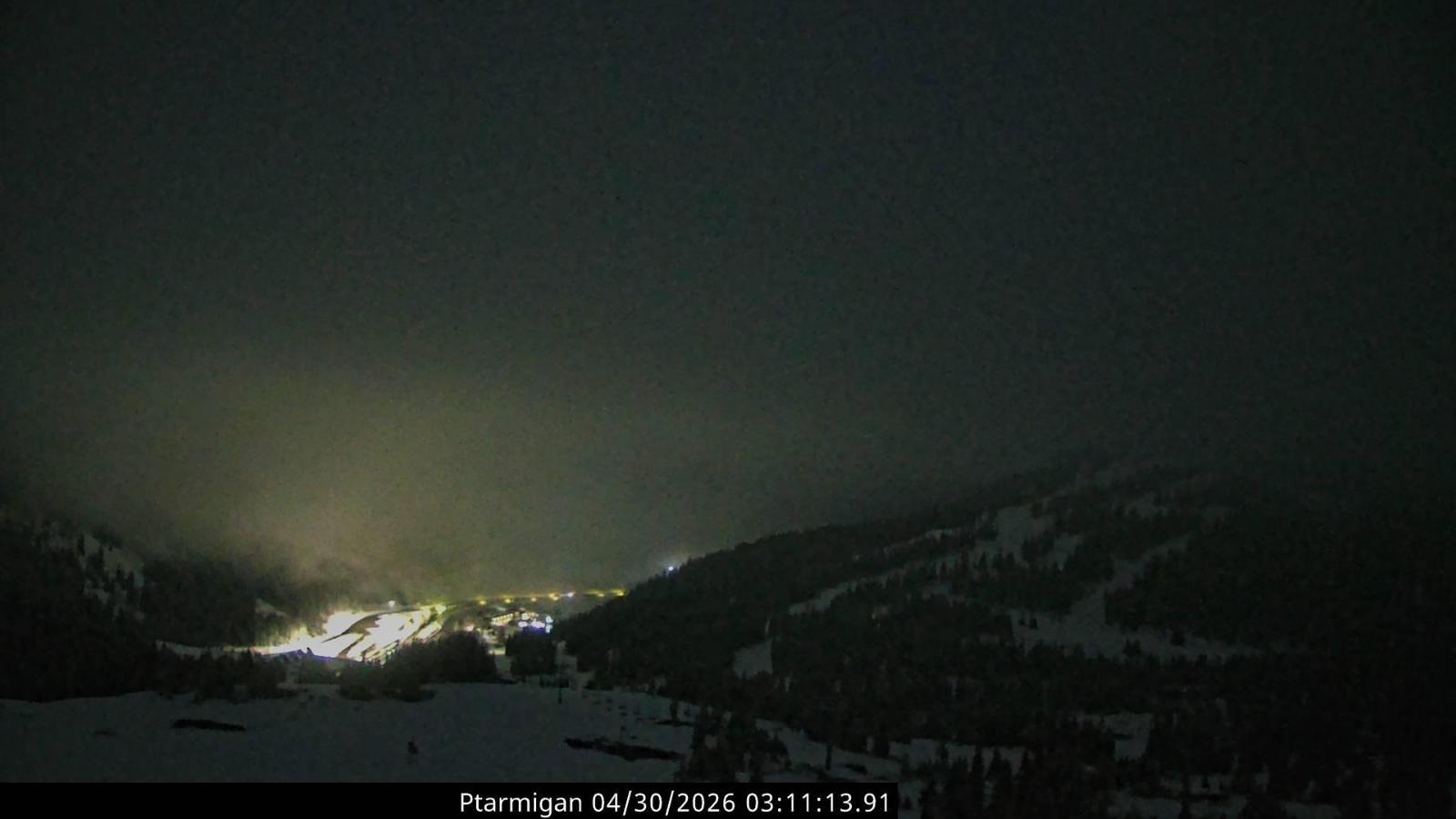 Webcam Loveland: Ptarmigan roost