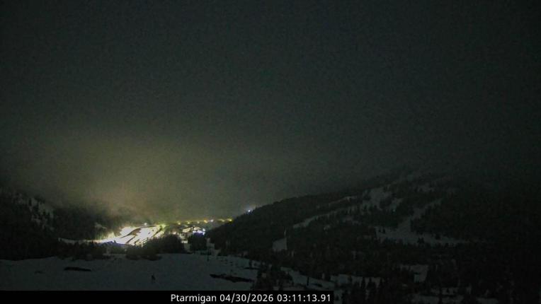 Webcam Loveland: Ptarmigan roost