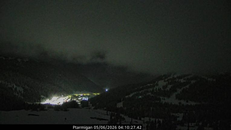Webcam Loveland: Ptarmigan roost