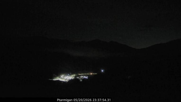 Webcam Loveland: Ptarmigan roost