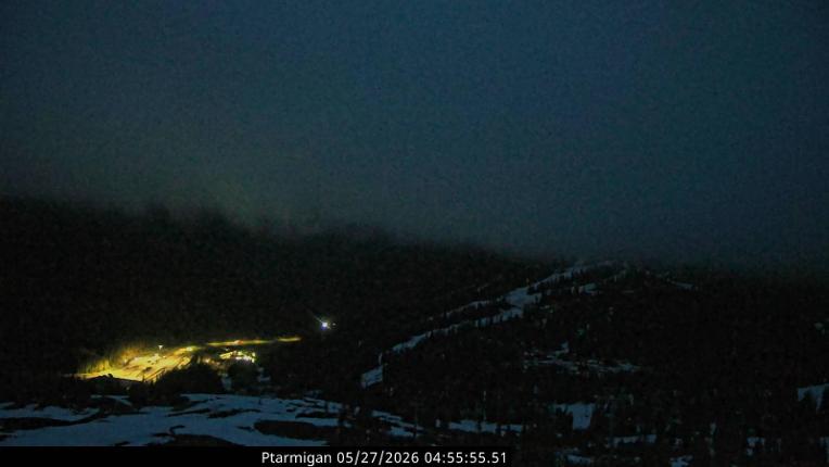 Webcam Loveland: Ptarmigan roost
