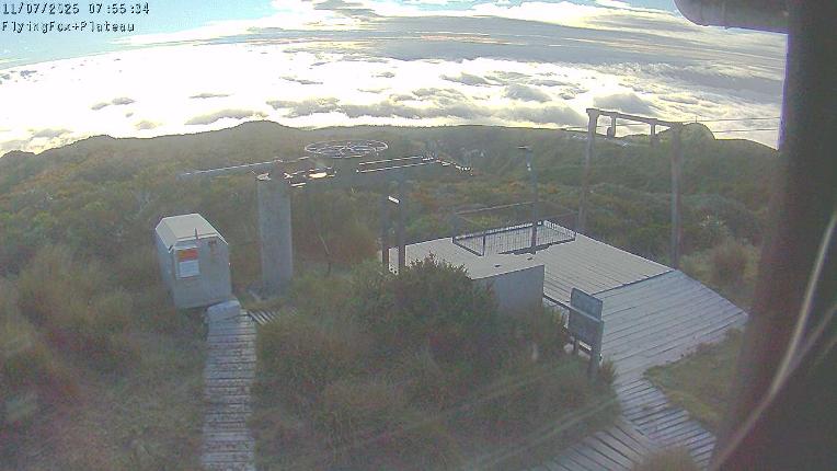 Webcam Manganui: Flying Fox Goods Lift
