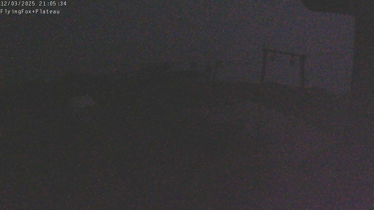 Webcam Manganui: Flying Fox Goods Lift