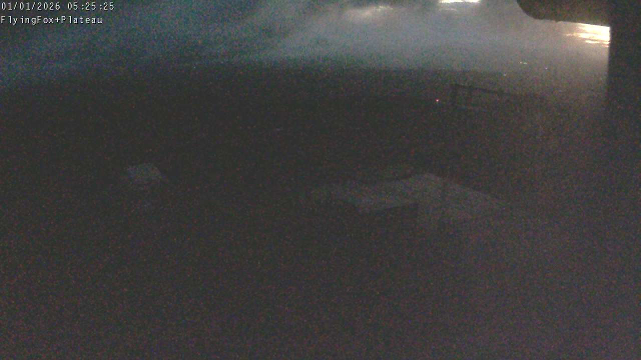 Webcam Manganui: Flying Fox Goods Lift