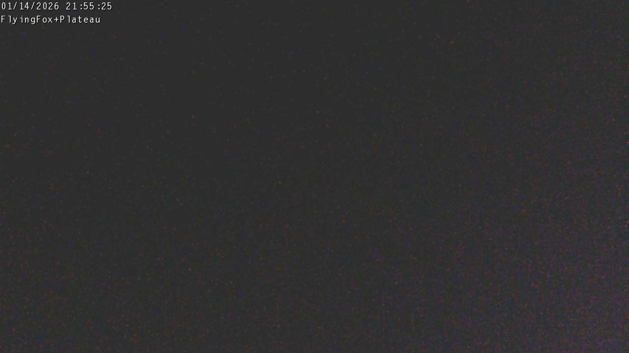 Webcam Manganui: Flying Fox Goods Lift