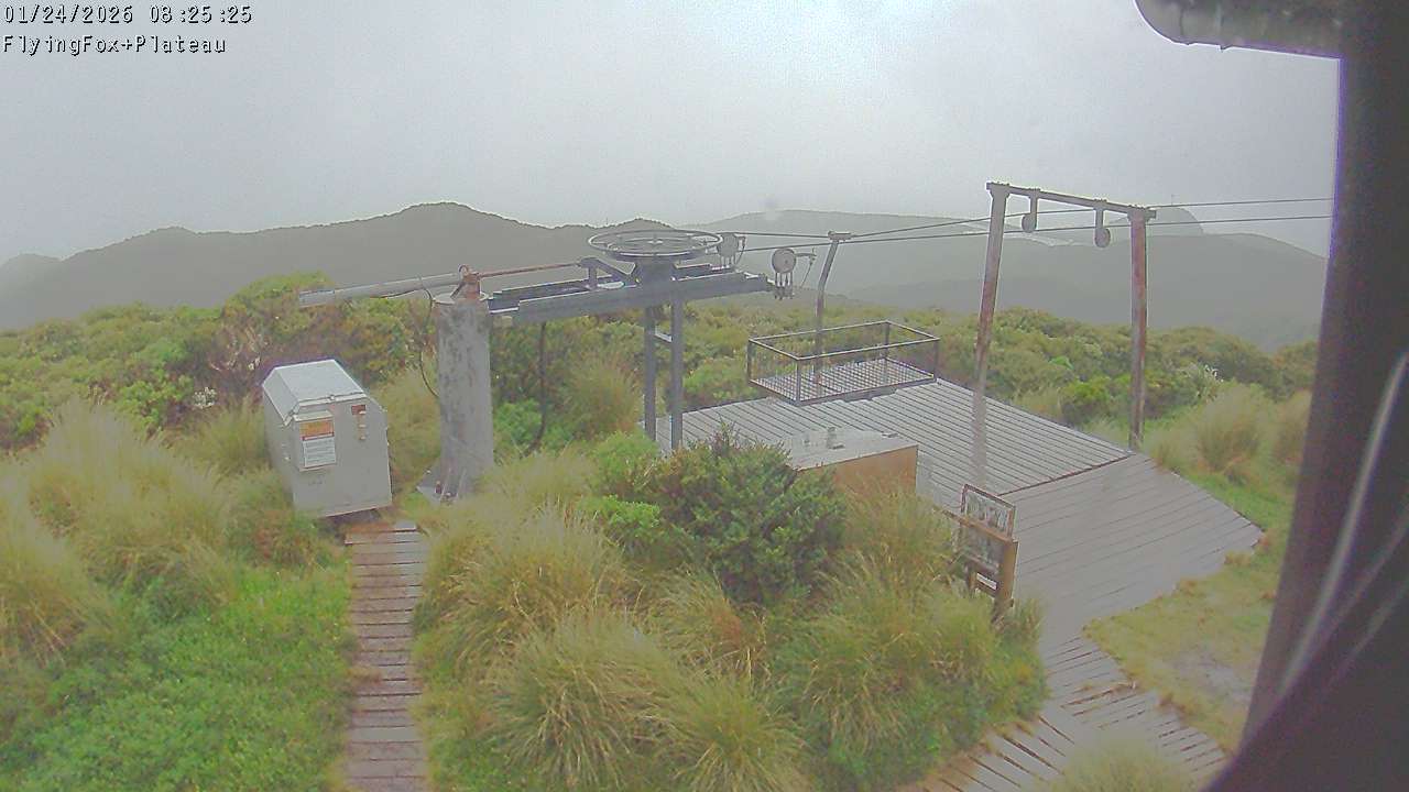 Webcam Manganui: Flying Fox Goods Lift