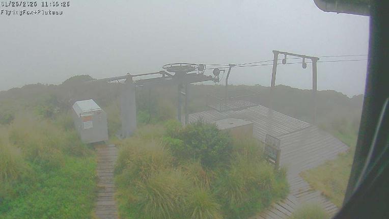 Webcam Manganui: Flying Fox Goods Lift