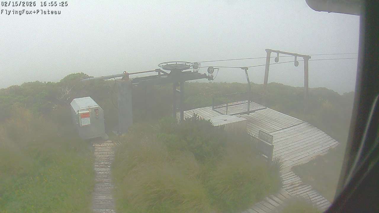 Webcam Manganui: Flying Fox Goods Lift
