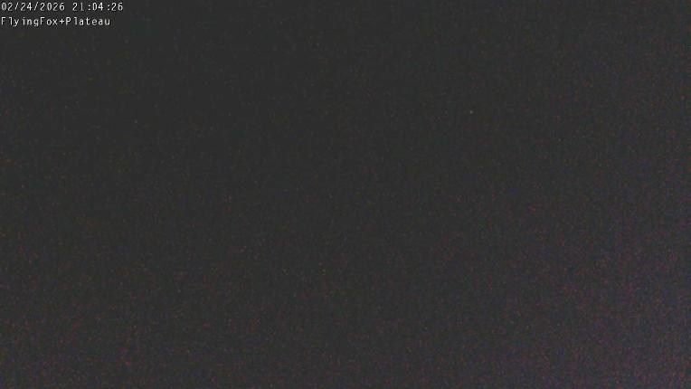 Webcam Manganui: Flying Fox Goods Lift