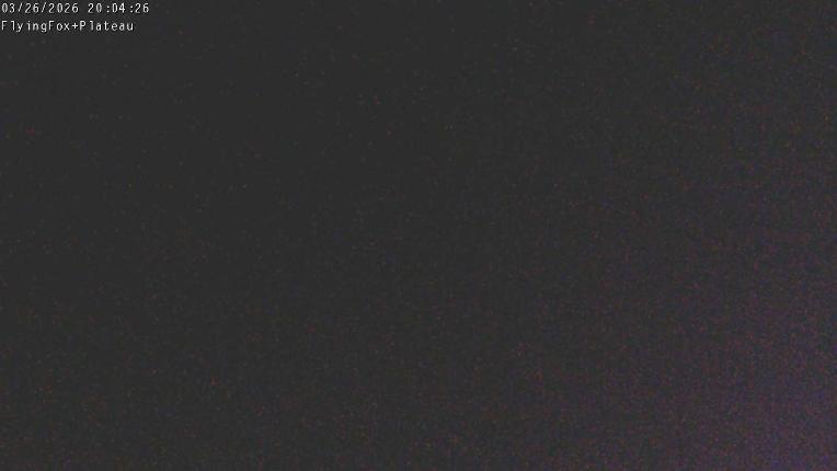 Webcam Manganui: Flying Fox Goods Lift