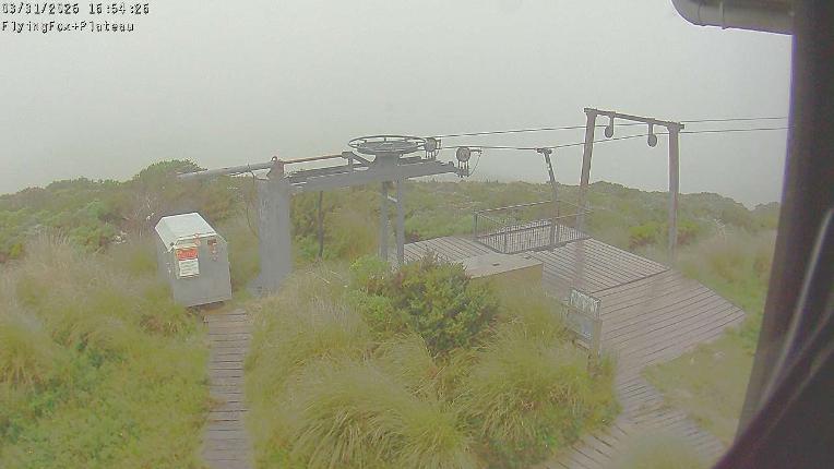 Webcam Manganui: Flying Fox Goods Lift