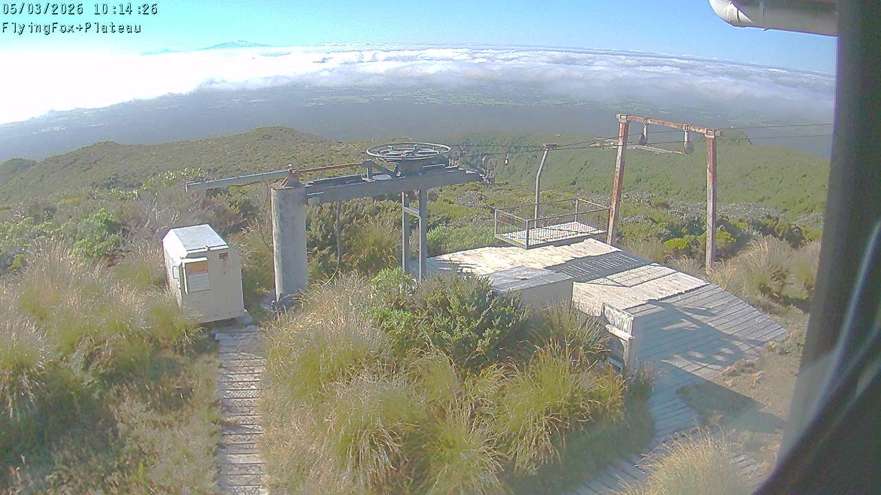 Webcam Manganui: Flying Fox Goods Lift