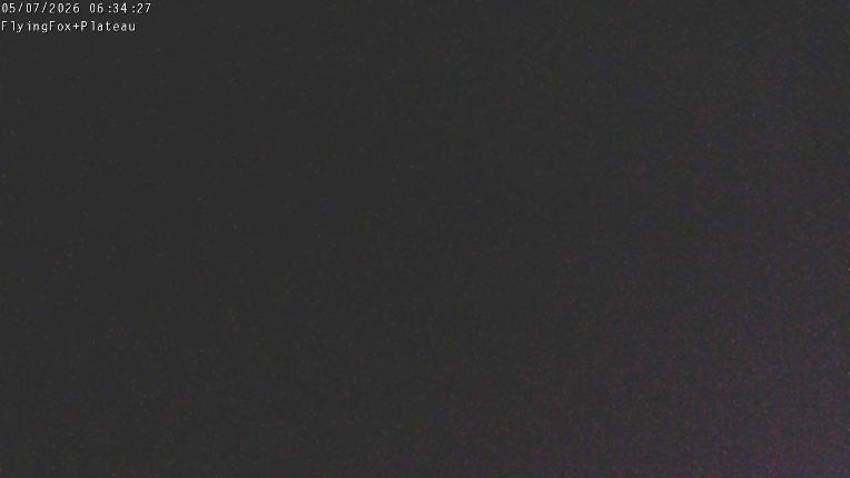 Webcam Manganui: Flying Fox Goods Lift