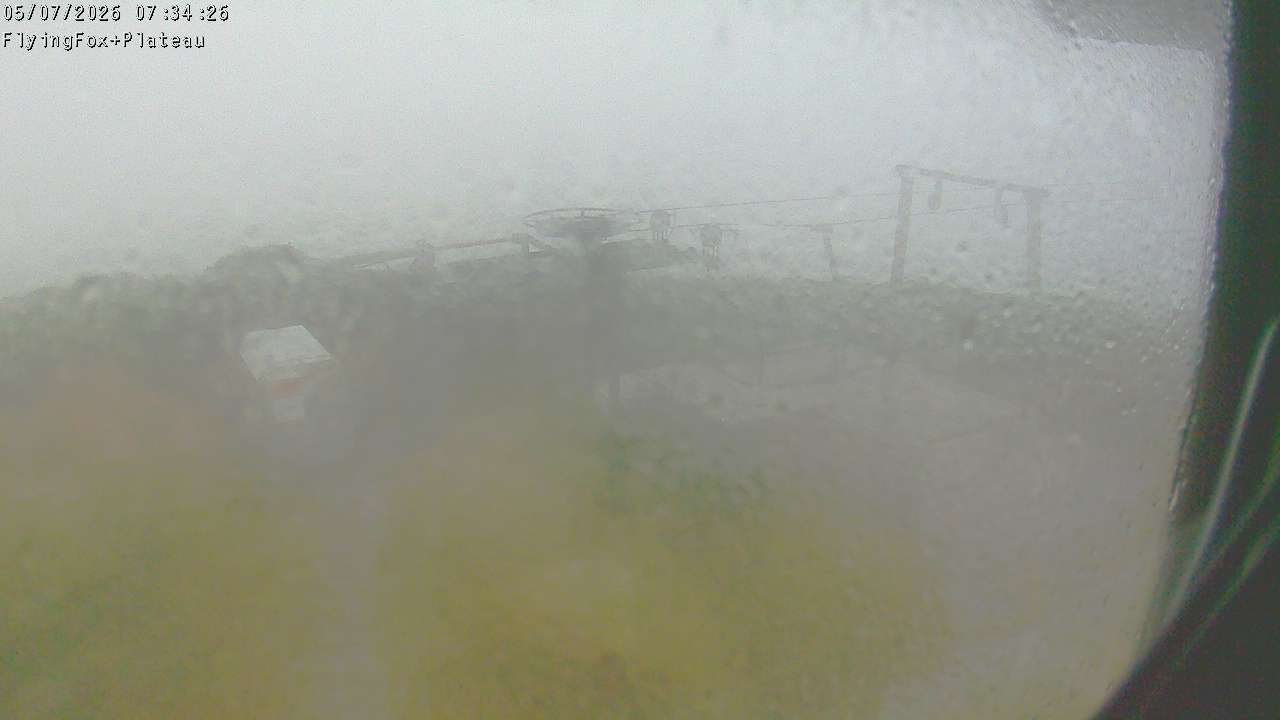 Webcam Manganui: Flying Fox Goods Lift