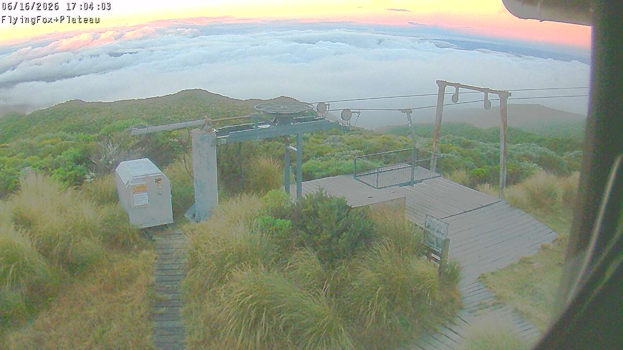 Webcam Manganui: Flying Fox Goods Lift