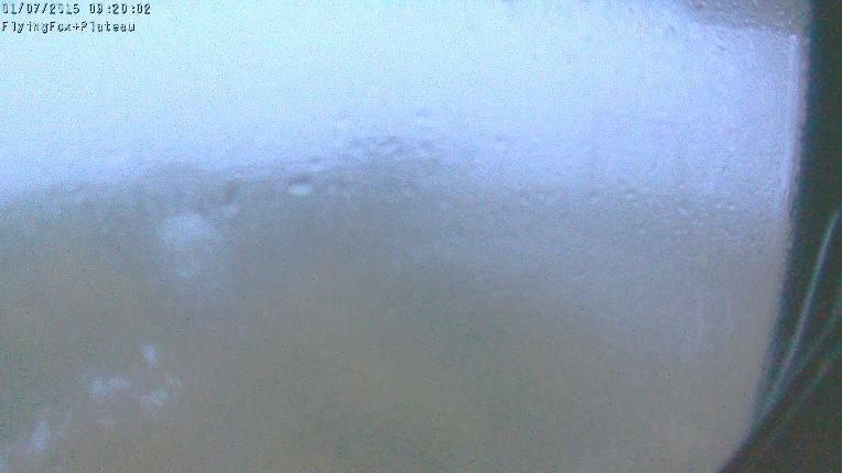 Webcam Manganui: Flying Fox Goods Lift