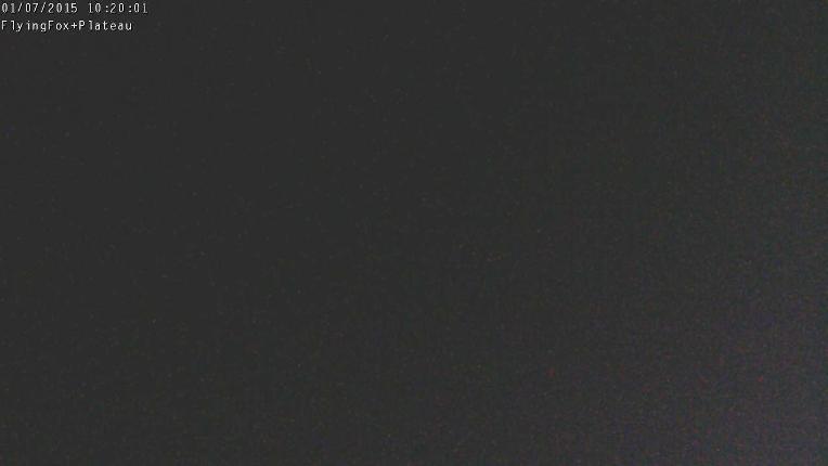 Webcam Manganui: Flying Fox Goods Lift