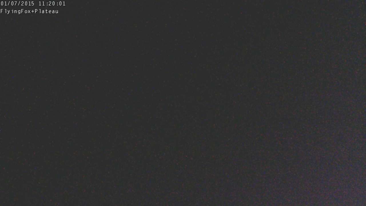 Webcam Manganui: Flying Fox Goods Lift