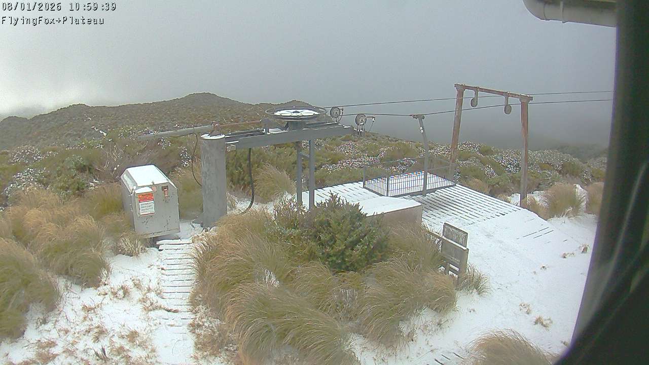 Webcam Manganui: Flying Fox Goods Lift
