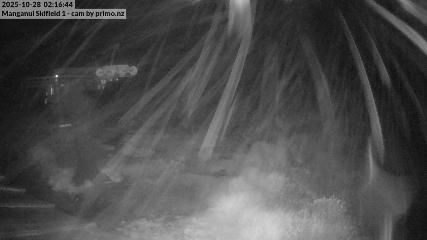 Manganui webcam