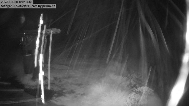 Webcam Manganui: SkiField1