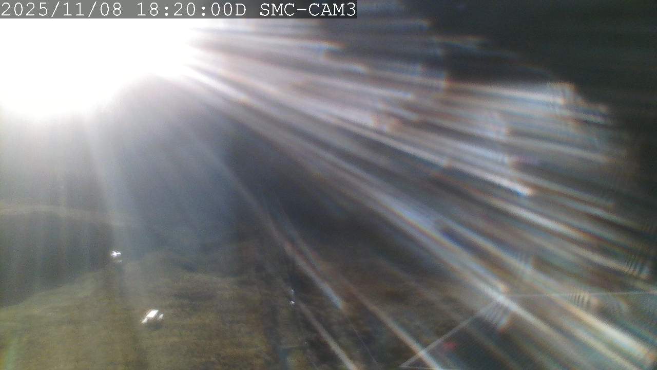 Webcam Manganui: T-Bar