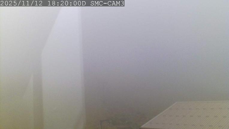 Webcam Manganui: T-Bar