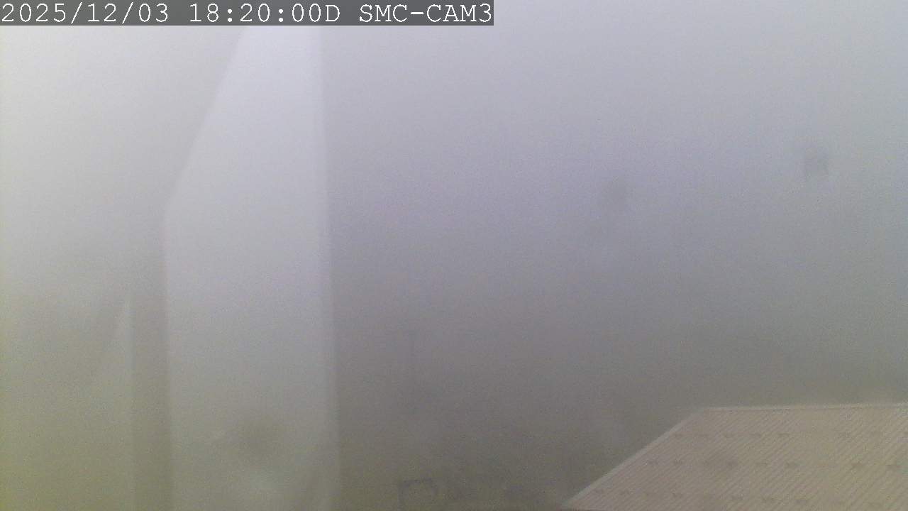 Webcam Manganui: T-Bar